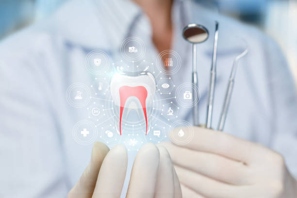 Patchogue, NY Holistic Dental Care Services Company